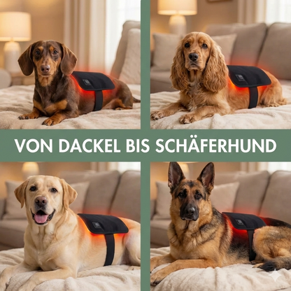 Rotfell Rotlichtgürtel