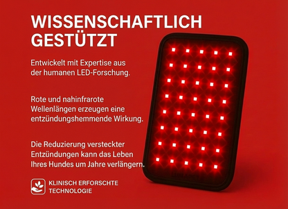 Rotfell Rotlichtgürtel